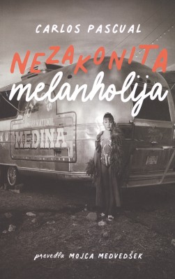 nezakonita-melanholija Gašper Kralj: Škrbine